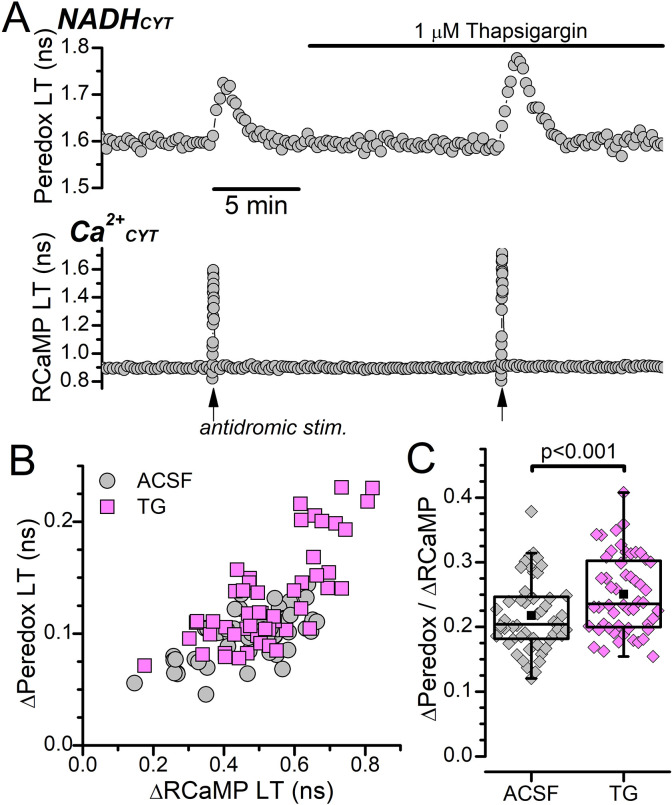 Figure 1—figure supplement 2.