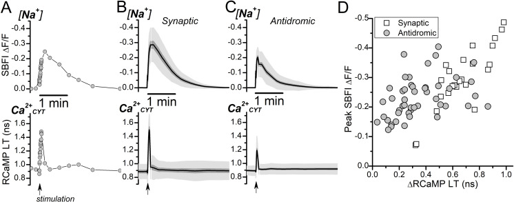 Figure 4—figure supplement 1.