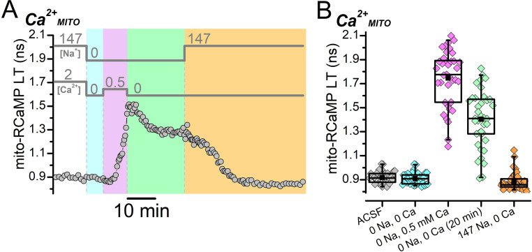 Figure 1—figure supplement 3.