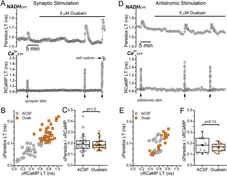 Figure 3—figure supplement 2.