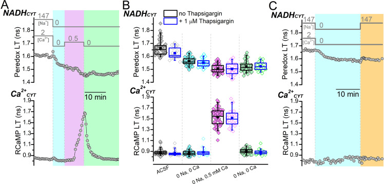 Figure 1—figure supplement 1.