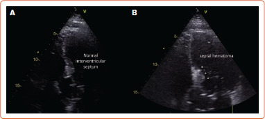 Figure 5: