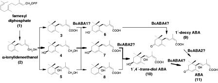 FIG. 6.