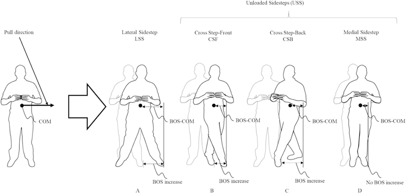 Fig. 1.