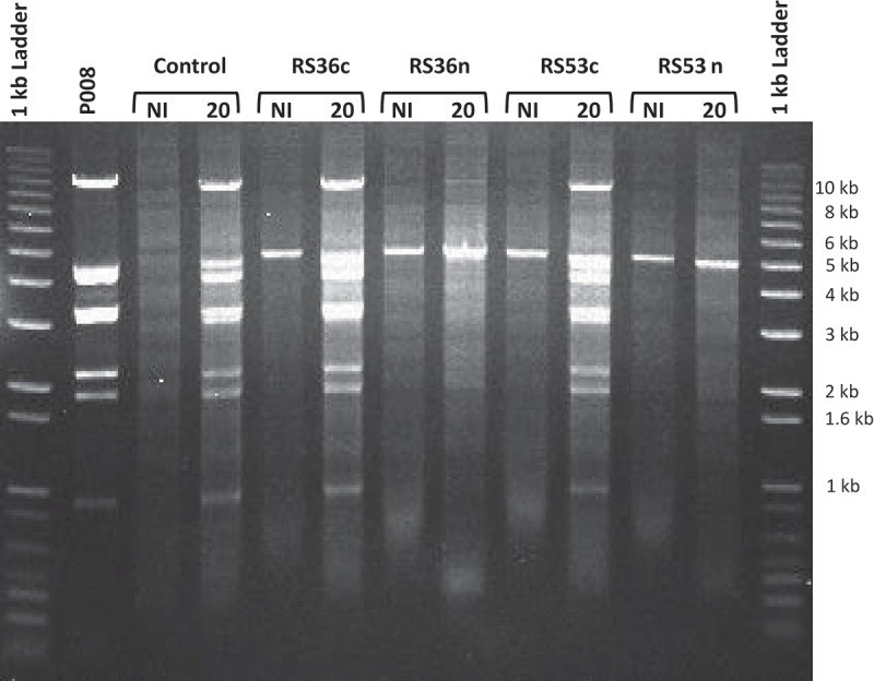 Figure 4.