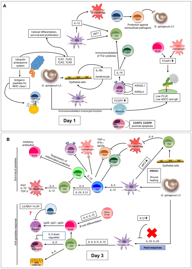 Figure 6