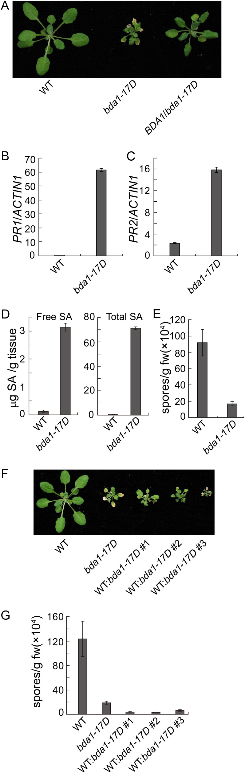 Figure 5.