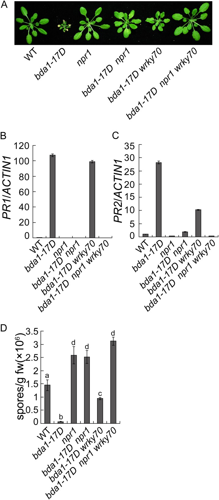 Figure 6.