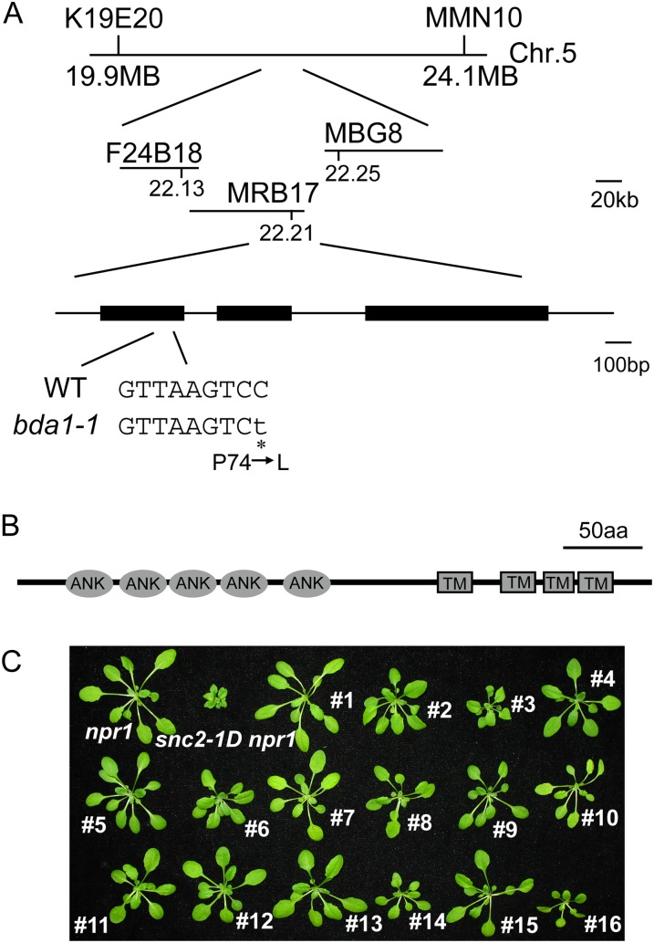 Figure 2.