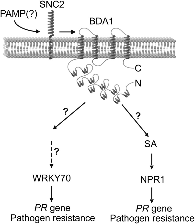 Figure 7.