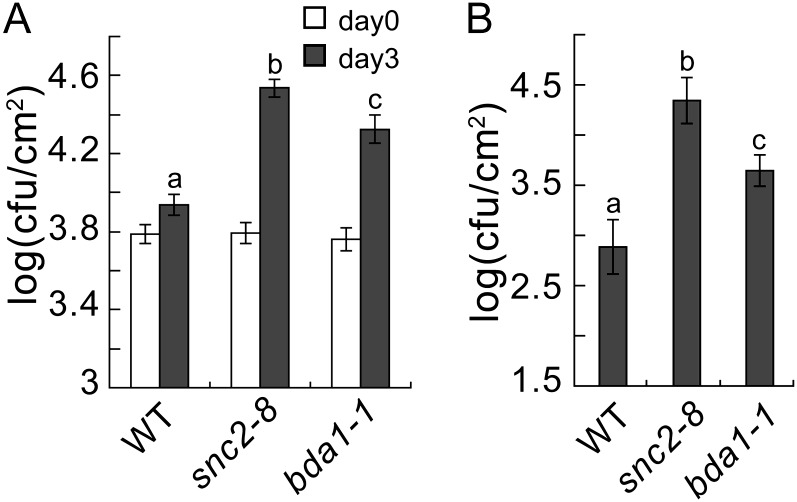 Figure 4.