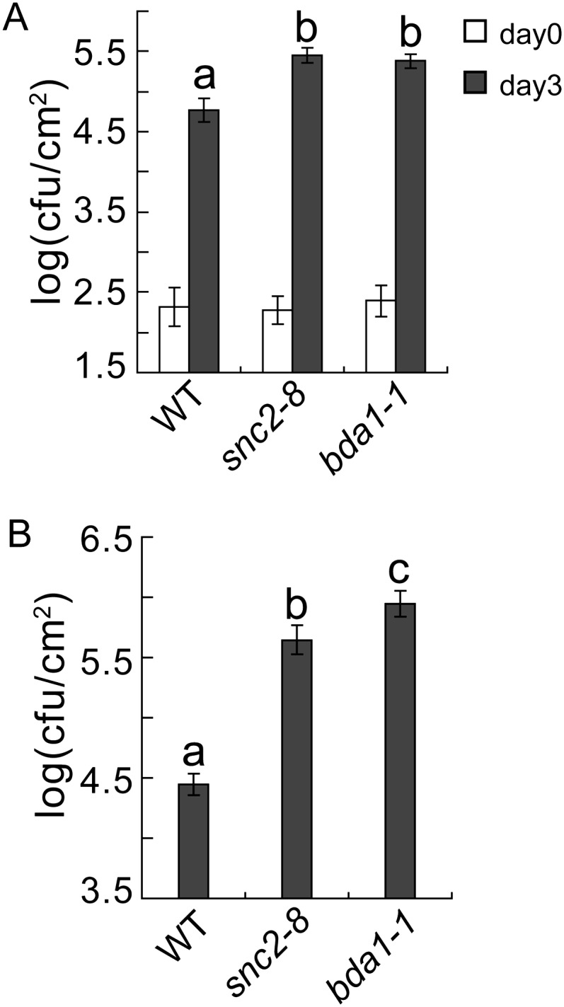 Figure 3.