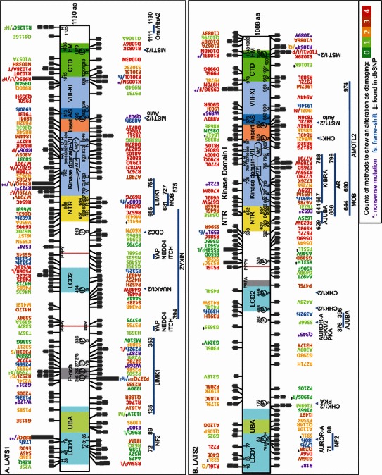 Figure 1