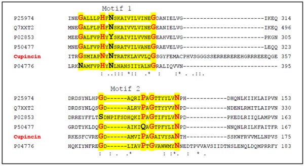 Fig 12