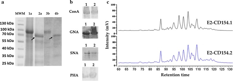 Fig. 4