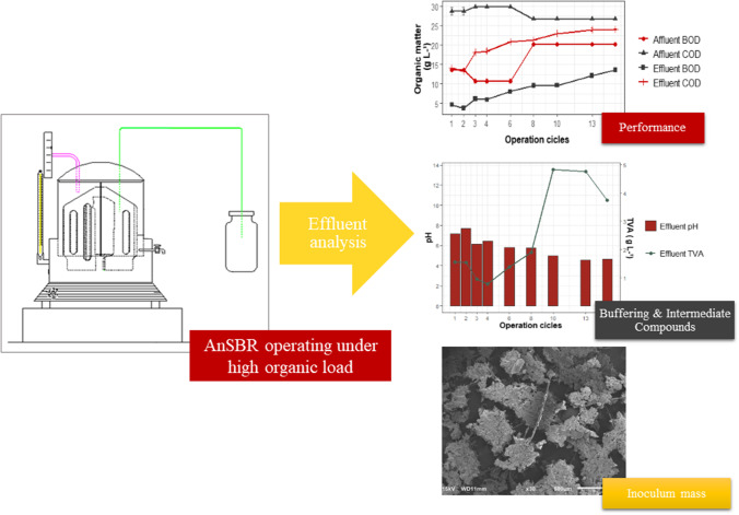 graphic file with name 40201_2022_819_Figa_HTML.jpg