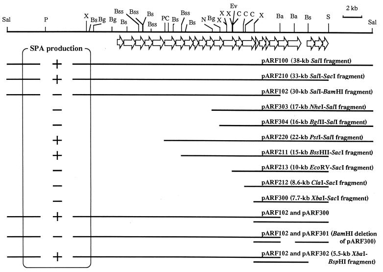 FIG. 1