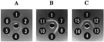 FIG. 2