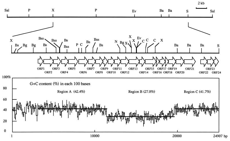 FIG. 3