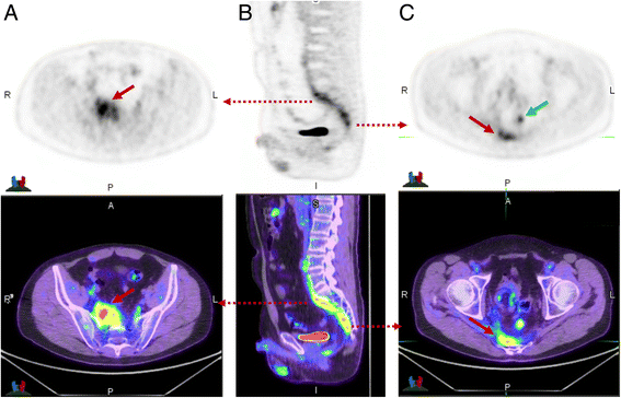 Fig. 5