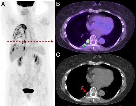 Fig. 6