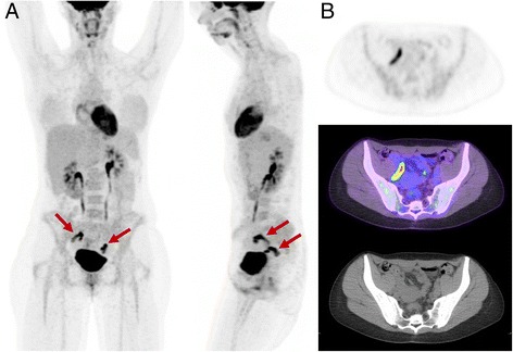 Fig. 8