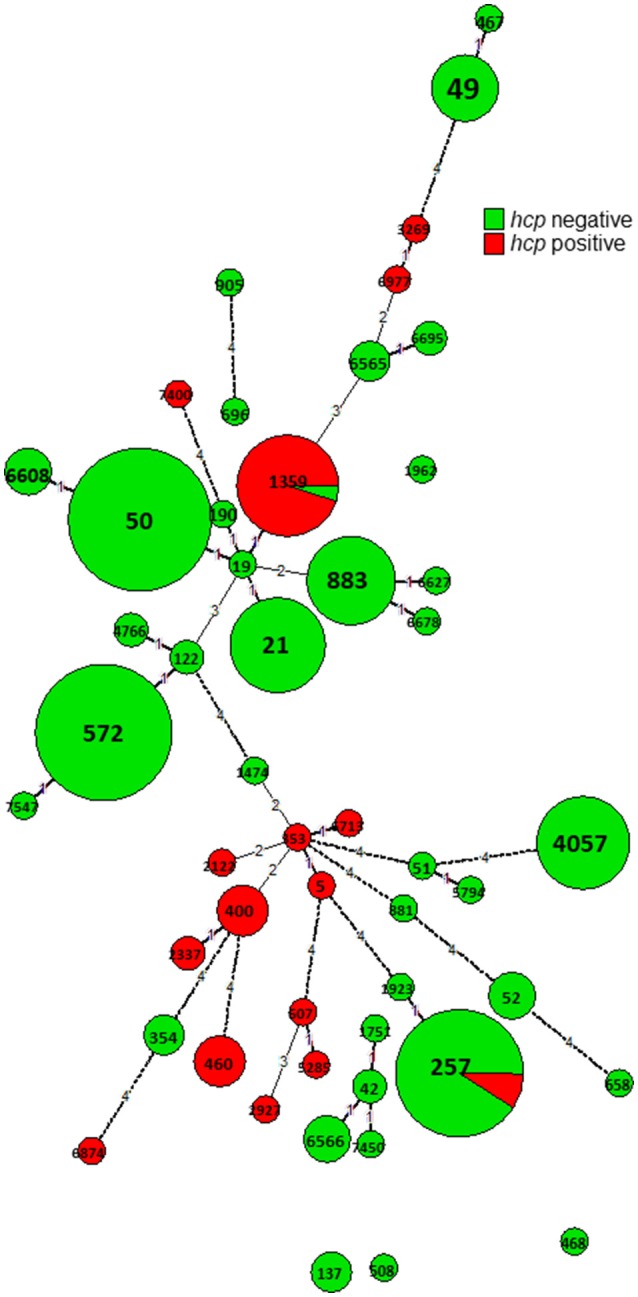 Figure 7