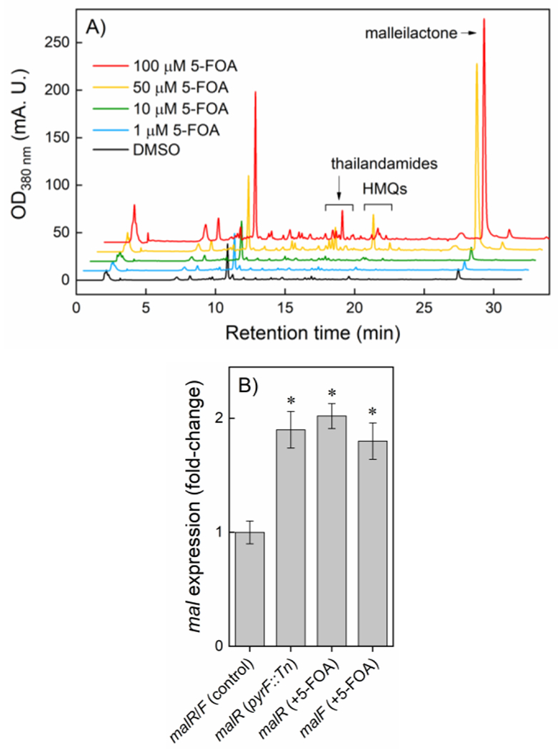 Figure 5.