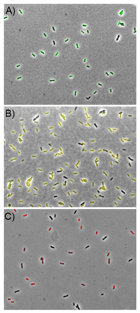 Figure 2.