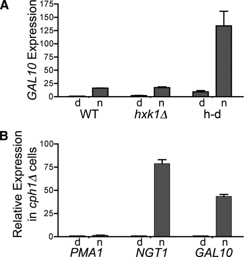 FIGURE 7.