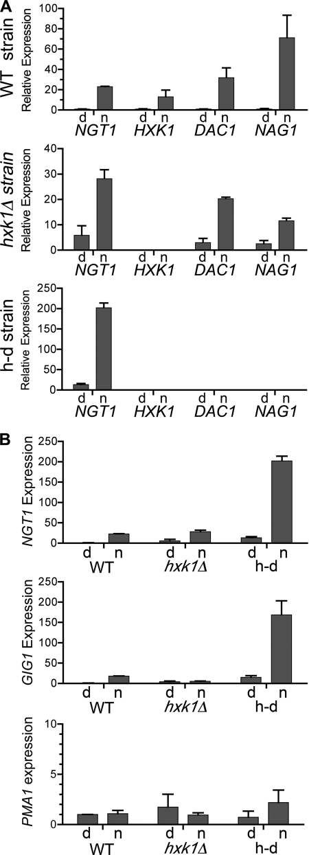 FIGURE 5.