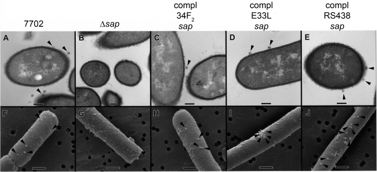 FIG 6