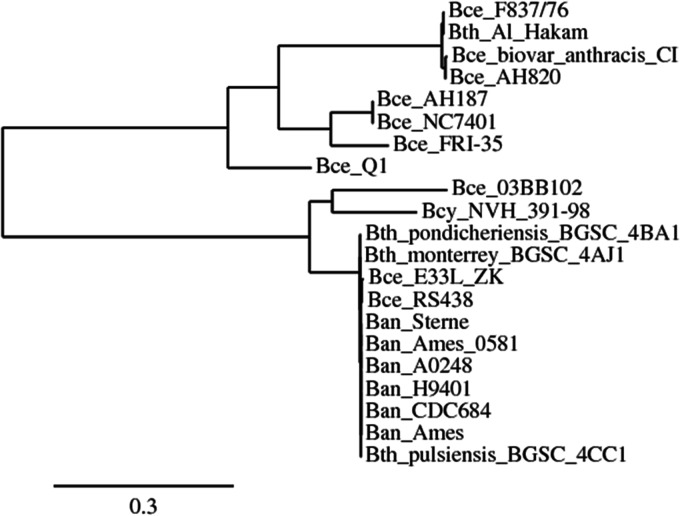 FIG 4