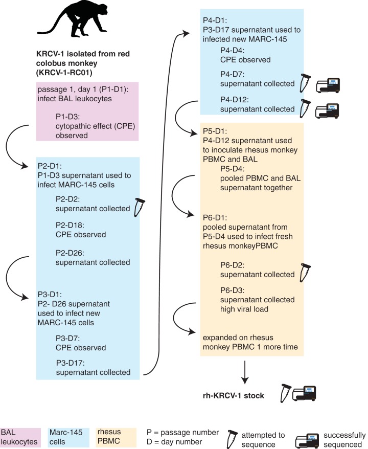 FIG 1