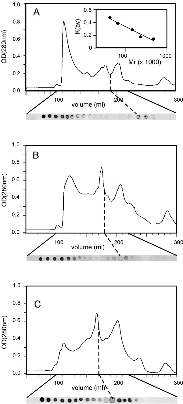 Figure 8