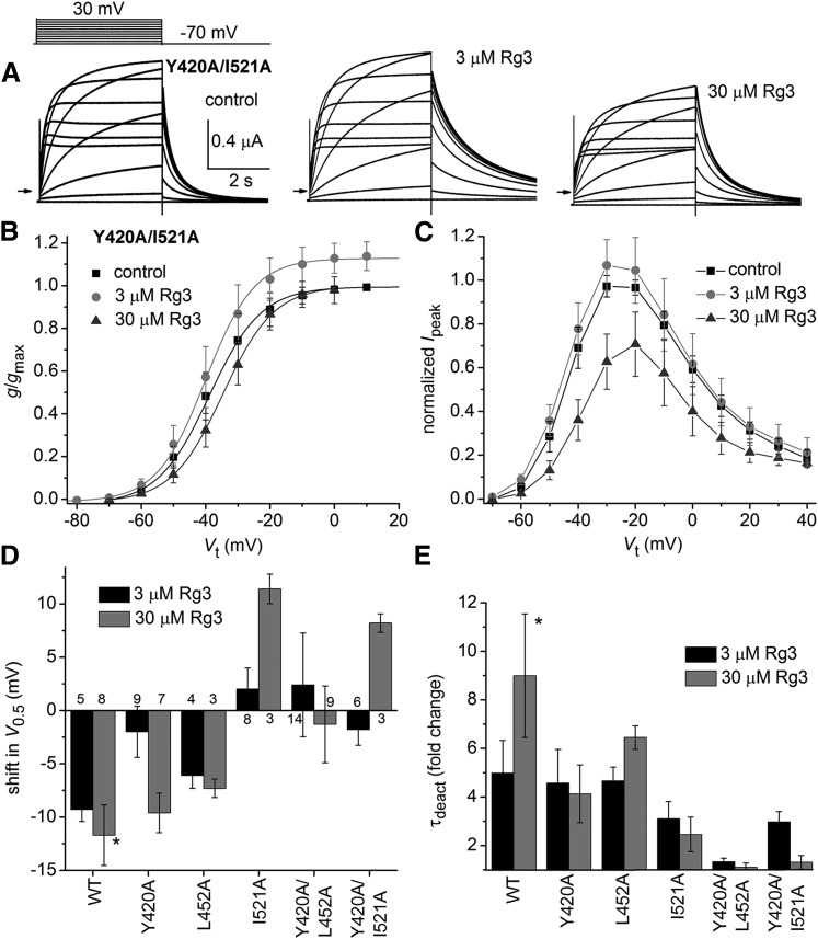 Fig. 8.