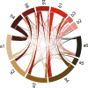 F<sc>IG</sc>. 5.—