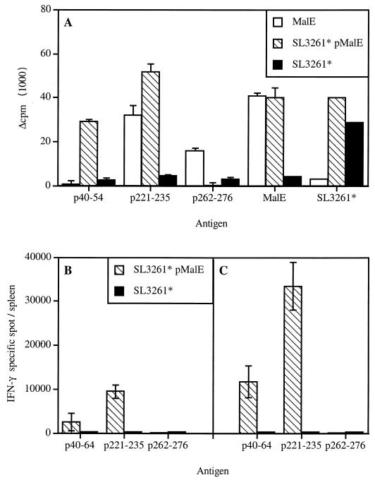 FIG. 7