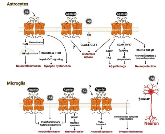 Fig. (1)