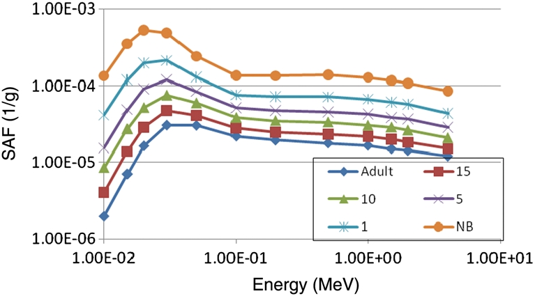 Figure 6.