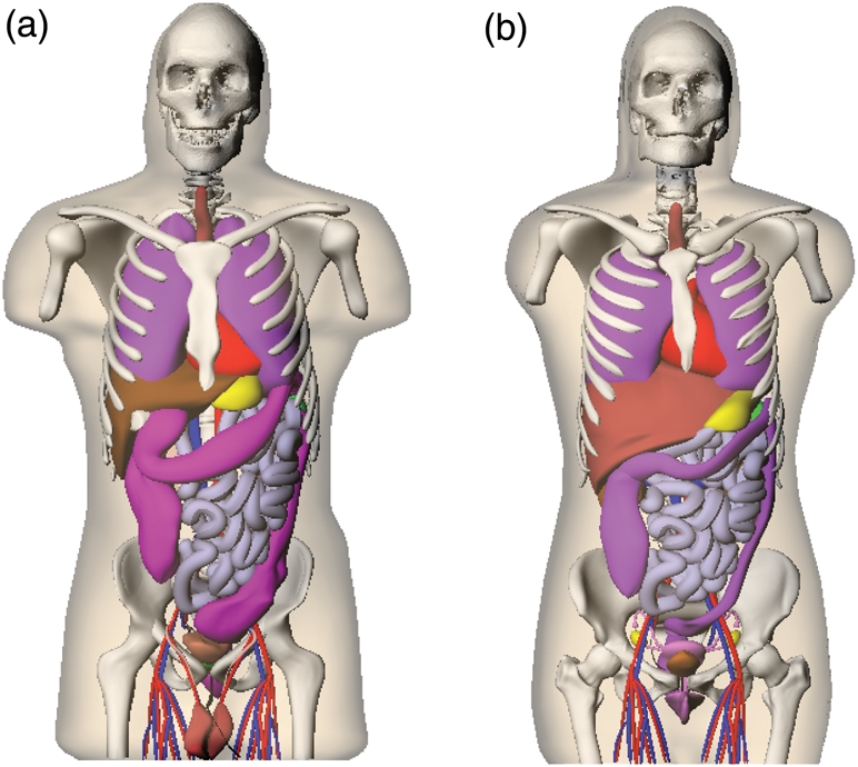 Figure 2.