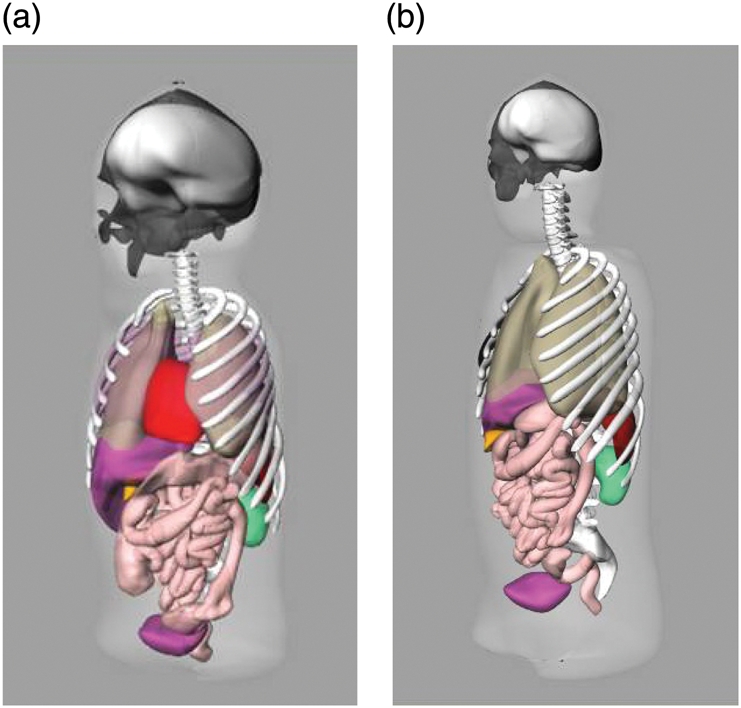 Figure 3.