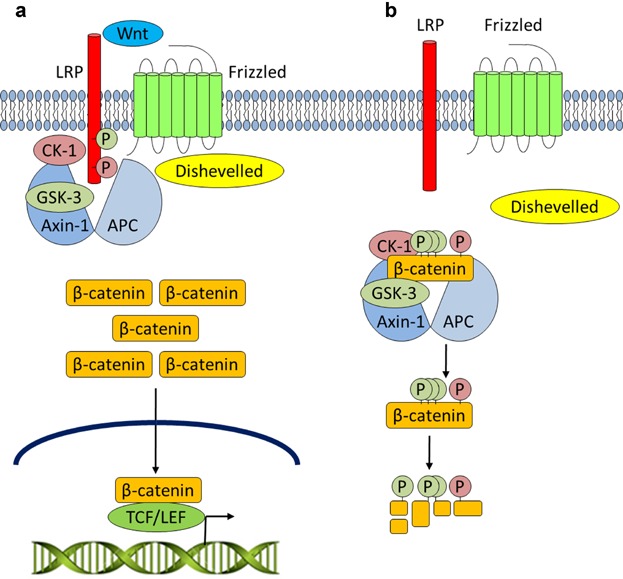 Fig 3