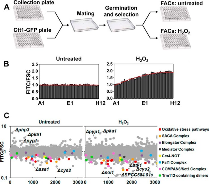 FIGURE 2.