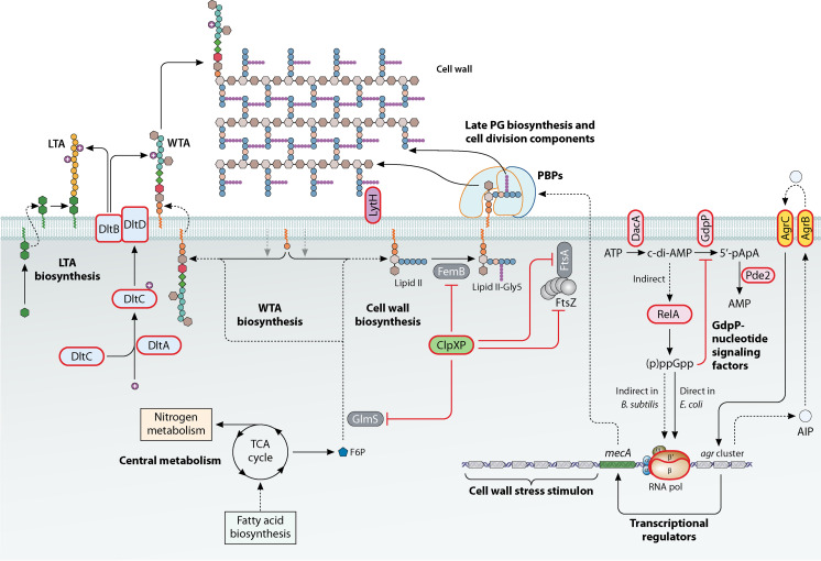 FIG 3