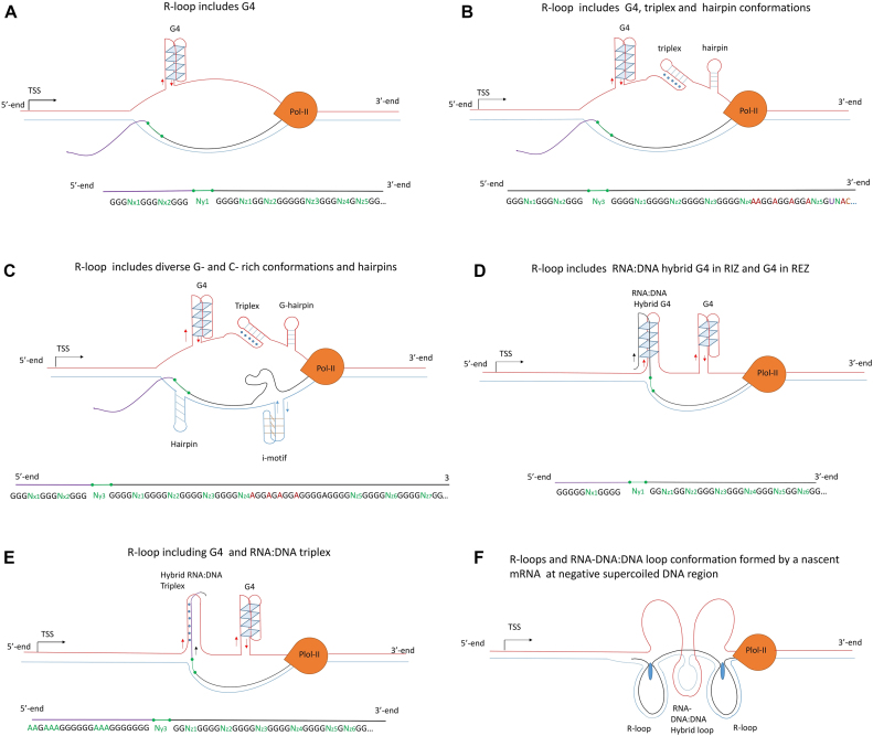 Figure 6.