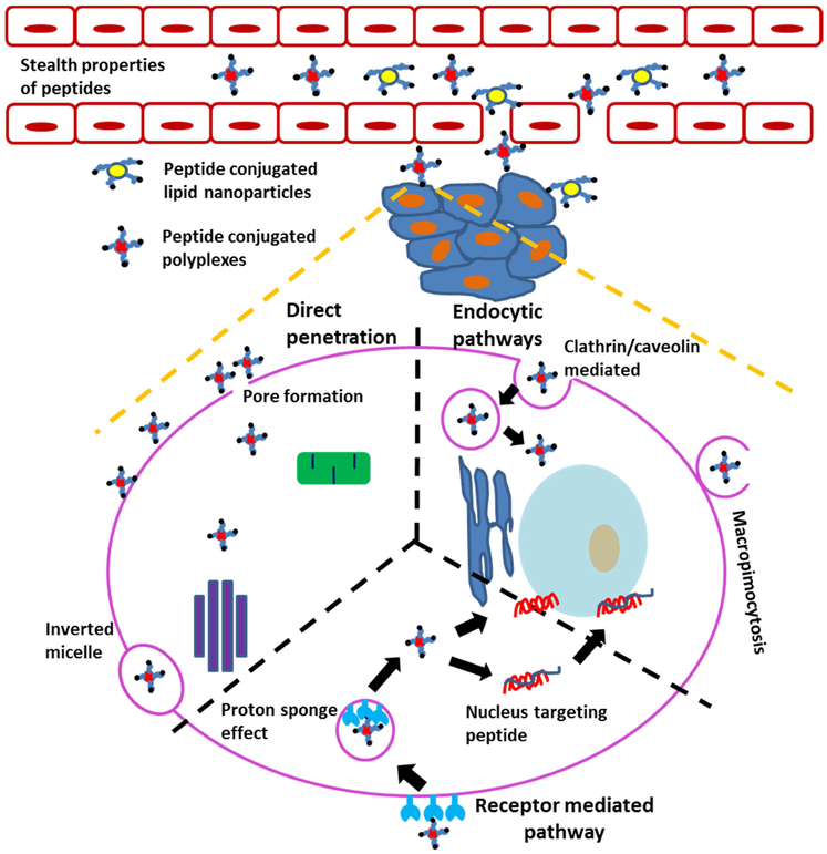 Figure 2: