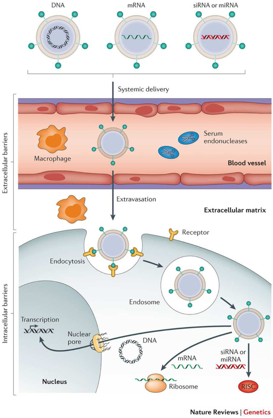 Figure 1: