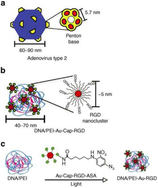 Figure 5: