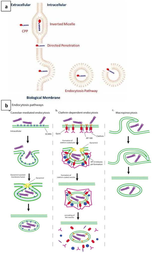 Figure 3: